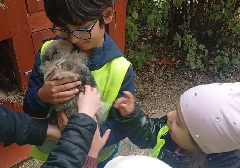 Návštěva zoo koutku