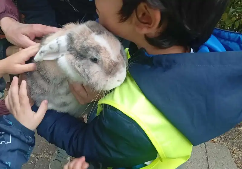 Návštěva zoo koutku