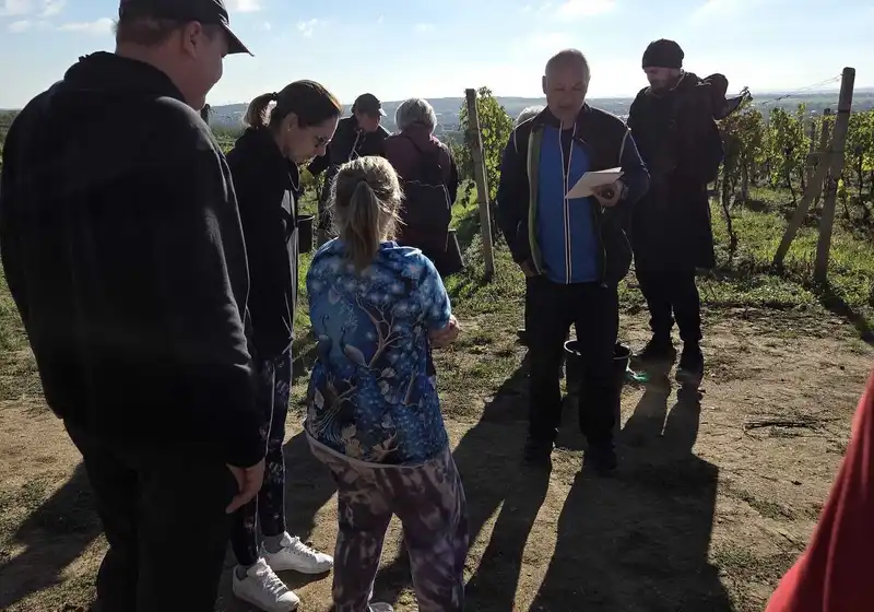 Exkurze do vinohradu
