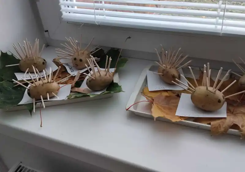 Bramborový týden🥔