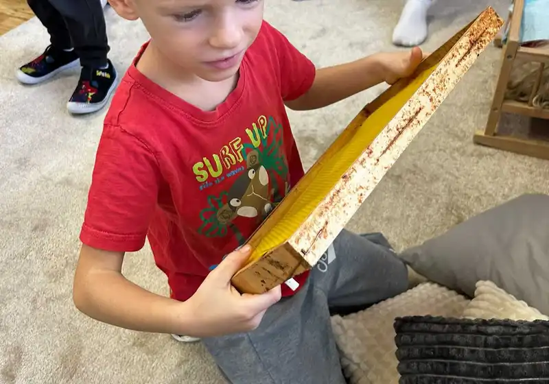 🐝 Za včelkami do světa medu