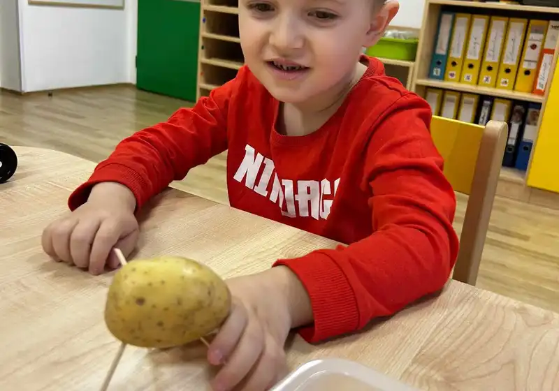 Bramborový týden🥔