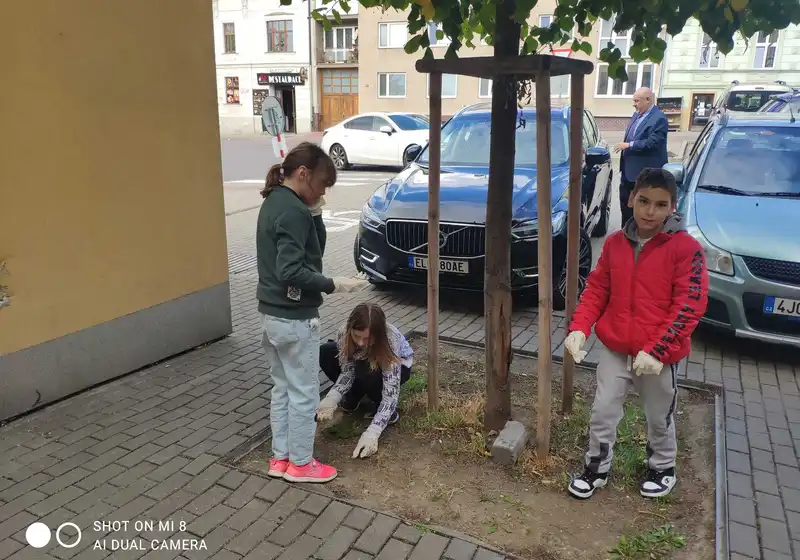 Akce Ukliďme Česko
