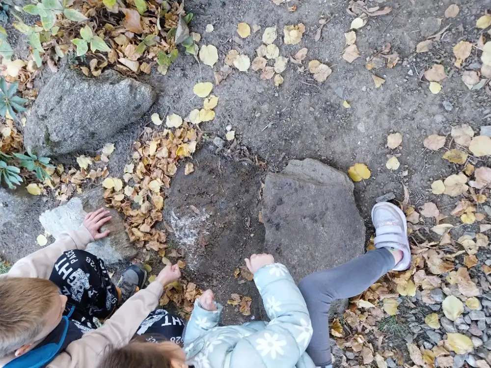 EVVO - život pod kameny/pozorování bezobratlých