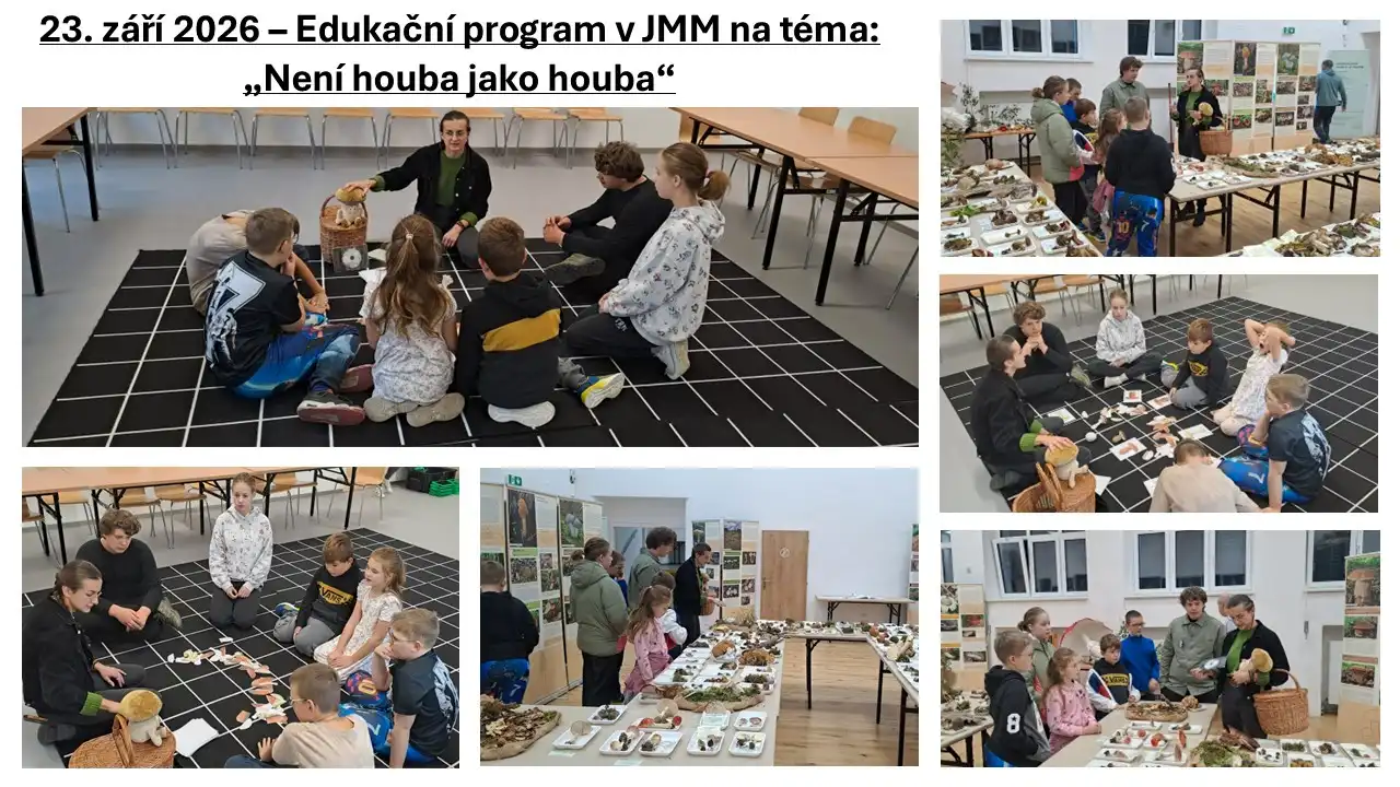 Není houba jako houba v JMM