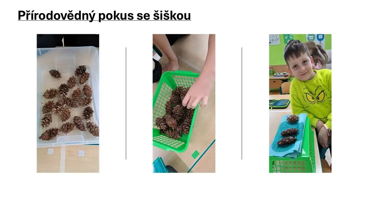 Přírodovědný pokus se šiškou