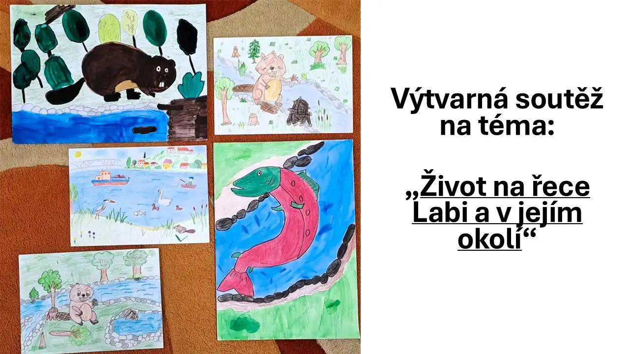 Život na řece Labi a v jejím okolí