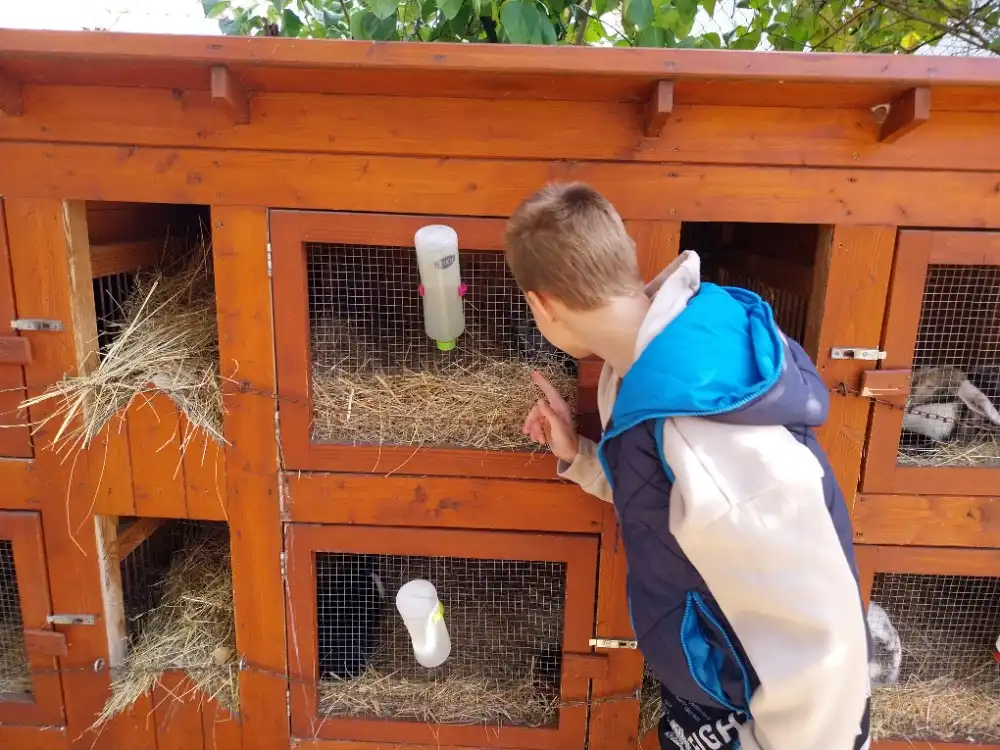 ZOO koutek